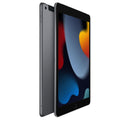 2021 Apple iPad (10.2-inch Wi-Fi + Cellular 256GB) - Space Gray (Refurbished)